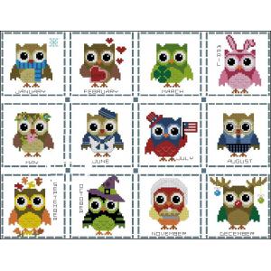 12 month owls