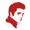 Elvis, The King, Cotton,14count 150x180 Stitch,27x33cm Little Simple Portrait Counted Cross Stitch Kits